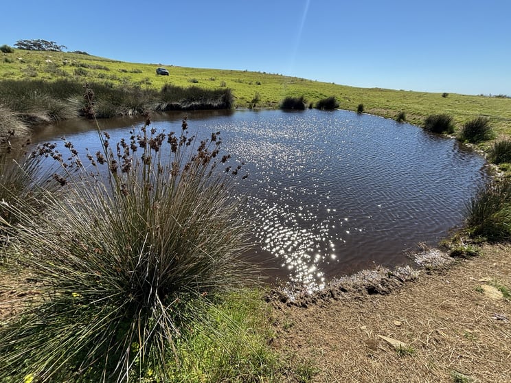 280 Clarkes Lane North Shields SA 5607 - Image 3