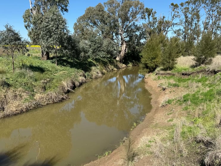 Click to view all images 13999 Golden Highway Dunedoo NSW 2844 - Image 3