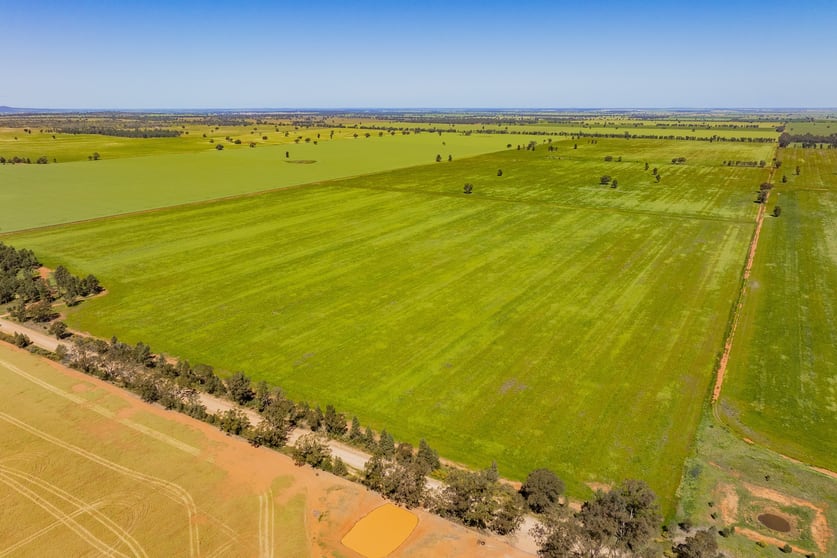 Click to view all images 584 Willows Road Ardlethan NSW 2665 - Image 3
