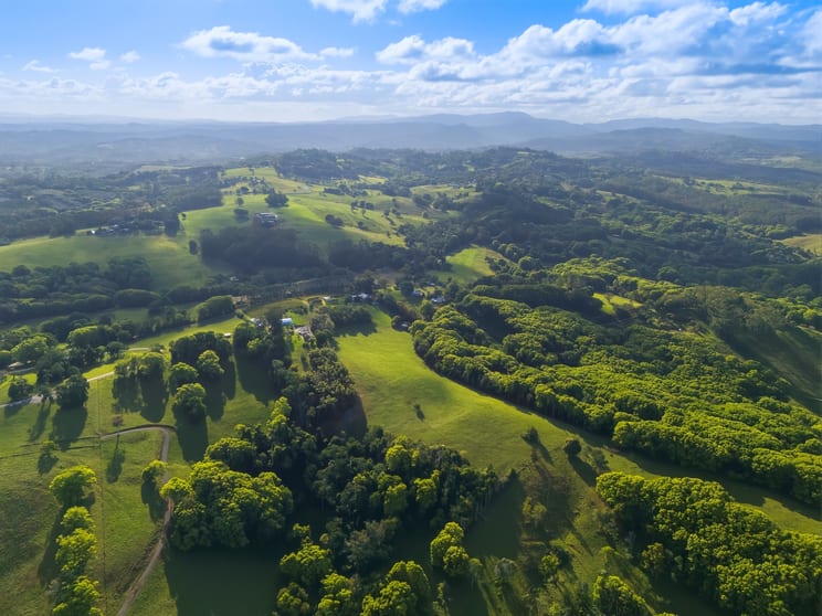 Click to view all images 716 Binna Burra Road Federal NSW 2480 - Image 1