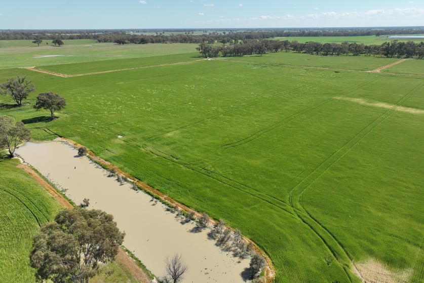 Click to view all images 110 Reillys Pit Road Wunghnu VIC 3635 - Image 2