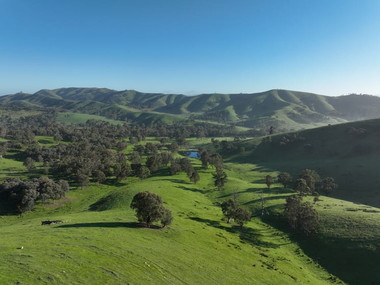 Click to view all images 71-79 Ti Tree Creek Road Yea VIC 3717 - Image 3