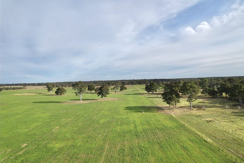 Click to view all images 310 Redcourt Lane Lindenow South VIC 3875 - Image 1