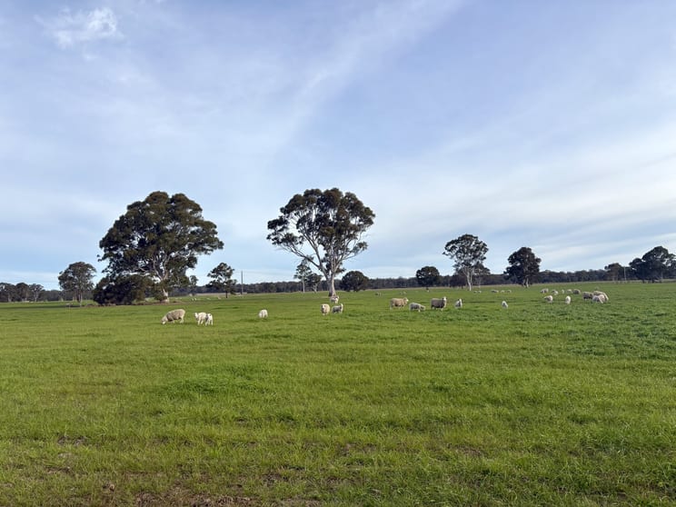 Click to view all images 310 Redcourt Lane Lindenow South VIC 3875 - Image 2