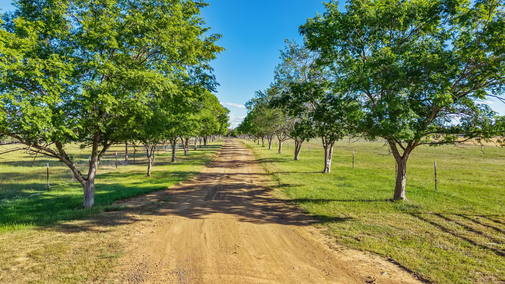 316 Newmans Lane Tamworth NSW 2340 - Image 3