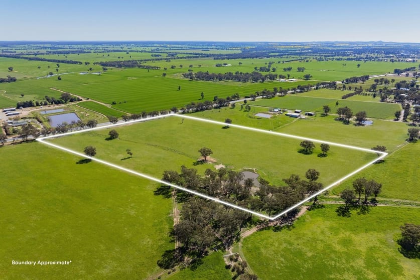 4648 Goldfields Way Temora NSW 2666 - Image 1
