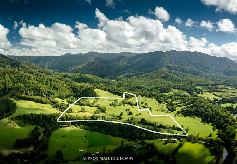 2791 Waterfall Way Thora NSW 2454 - Image 1