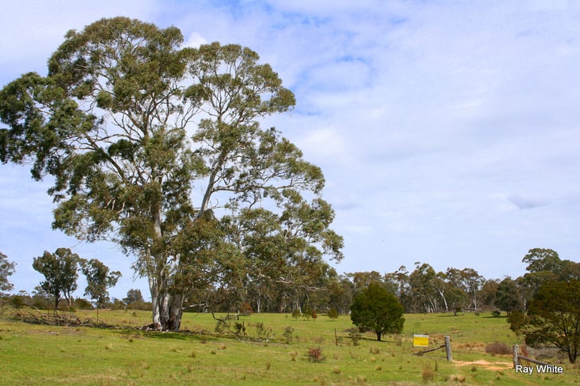 Click to view all images 404 Burden Drive Nerriga NSW 2622 - Image 1
