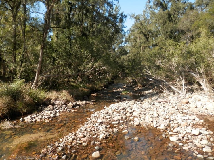 Click to view all images 96 North Ewingar Rd Ewingar NSW 2469 - Image 2