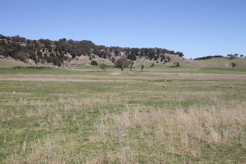 60, 61, 10/874 Bara Road Mudgee NSW 2850 - Image 2
