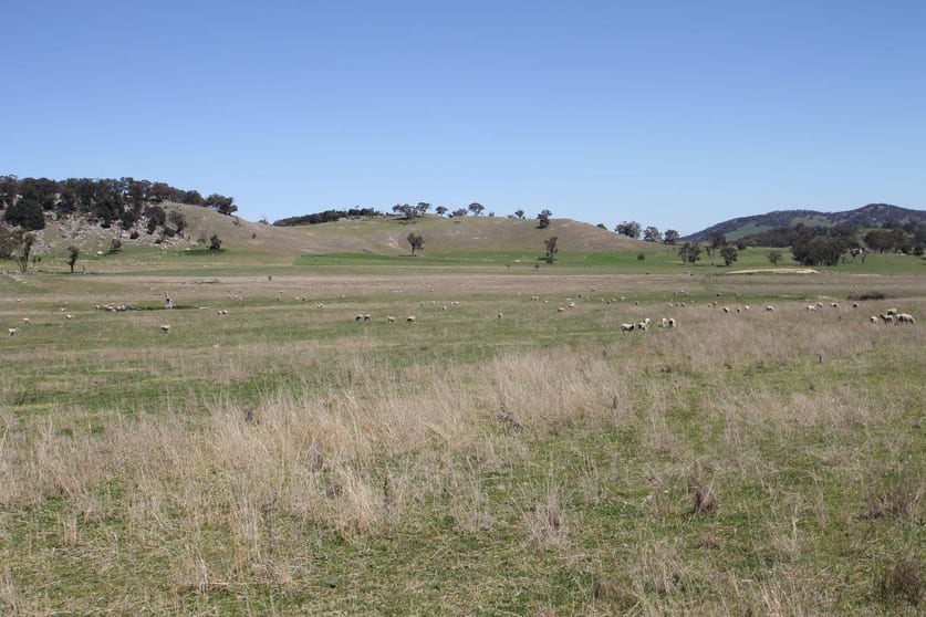 60, 61, 10/874 Bara Road Mudgee NSW 2850 - Image 3