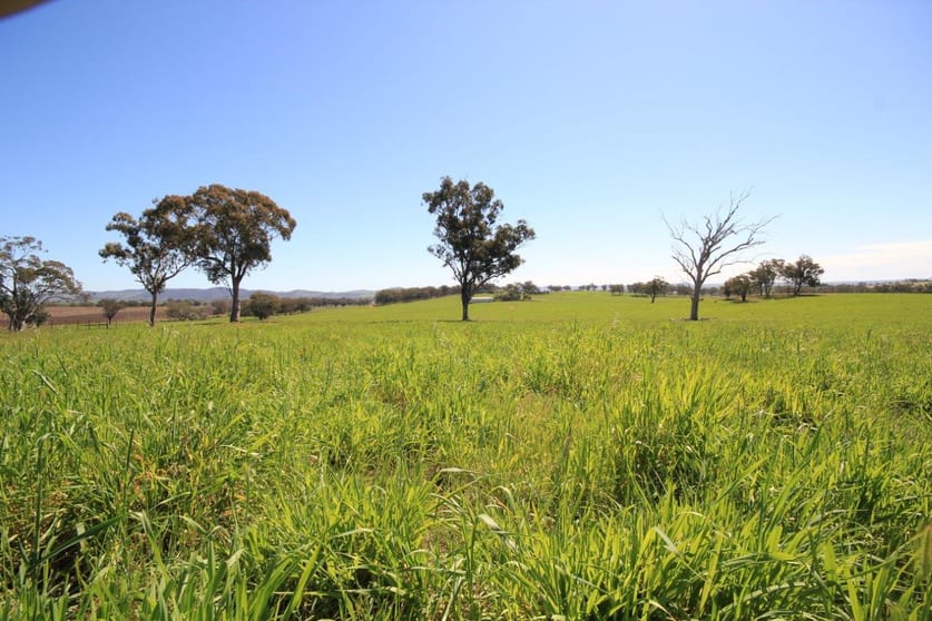 Click to view all images Mudgee NSW 2850 - Image 1