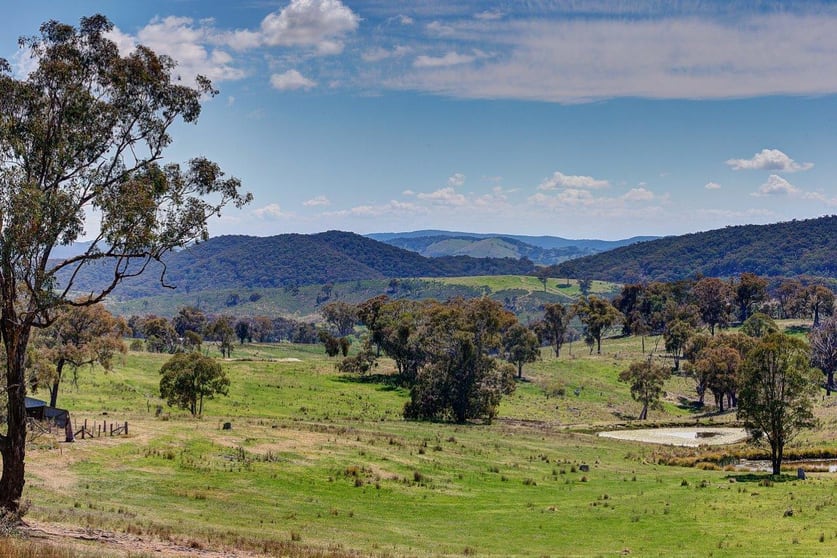 Click to view all images 954 Pyramul Road Mudgee NSW 2850 - Image 1
