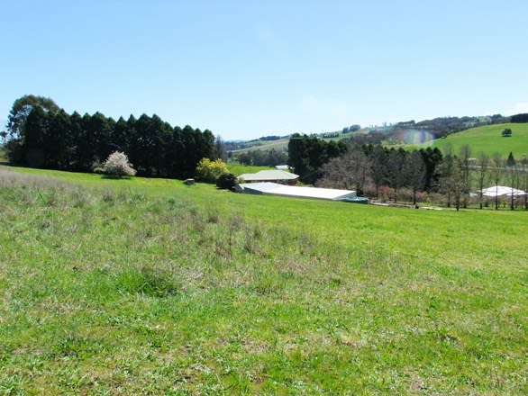 Lake Canobolas Road Orange NSW 2800 - Image 2