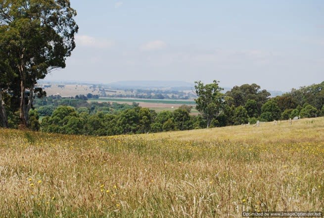 1620 Fernbank-Glenaladale Road Iguana Creek VIC 3875 - Image 1