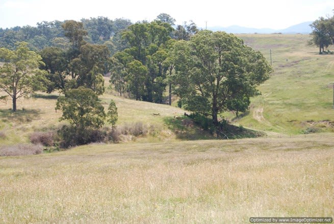 1620 Fernbank-Glenaladale Road Iguana Creek VIC 3875 - Image 2