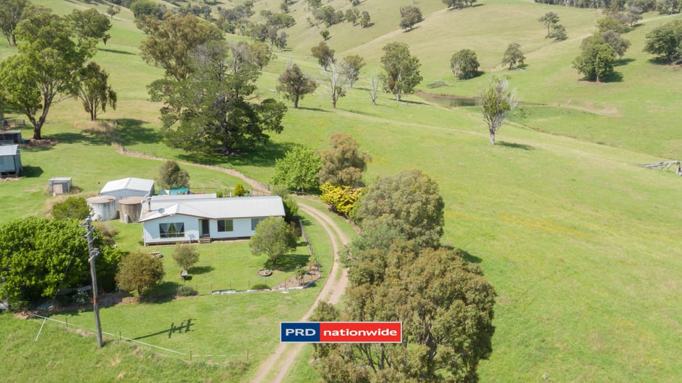 1292 Weabonga Road Weabonga NSW 2340 - Image 1