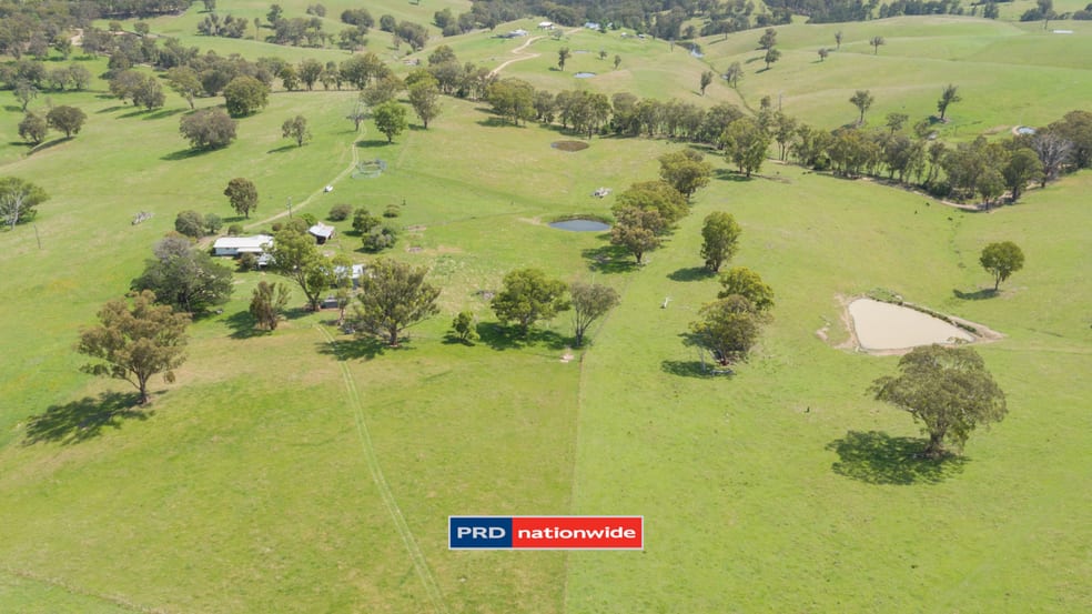 1292 Weabonga Road Weabonga NSW 2340 - Image 2