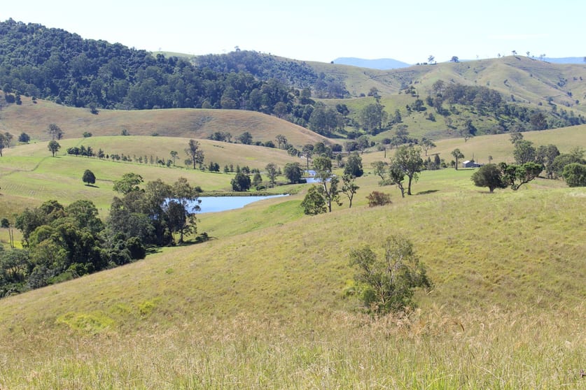 Gloucester NSW 2422 - Image 1