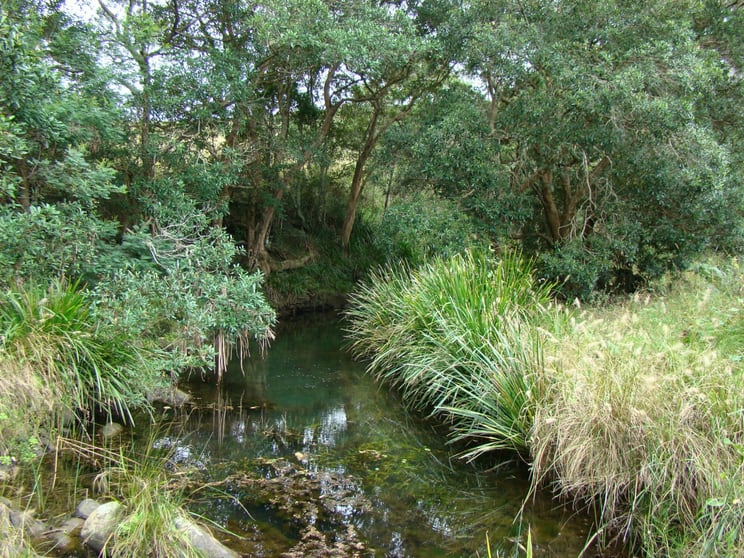 Lot 2 Belbora Creek Road, Belbora Gloucester NSW 2422 - Image 1