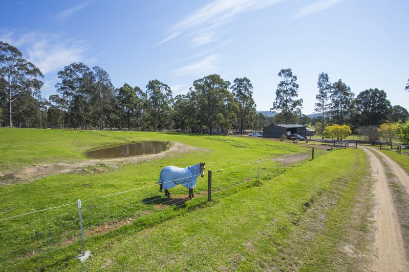 Click to view all images 604 Wallarobba-Brookfield Road Dungog NSW 2420 - Image 3