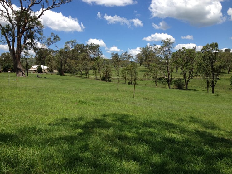 1123 Paterson River Road Gresford NSW 2311 - Image 2