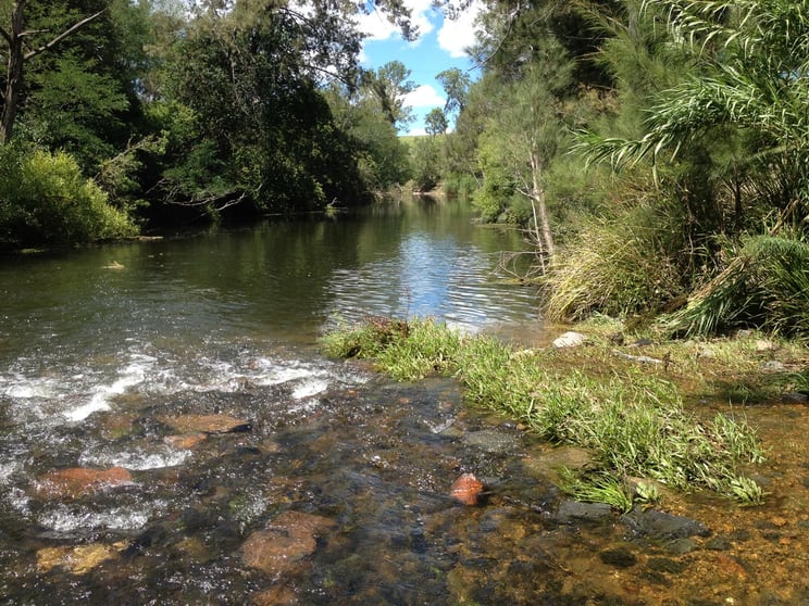 1123 Paterson River Road Gresford NSW 2311 - Image 1