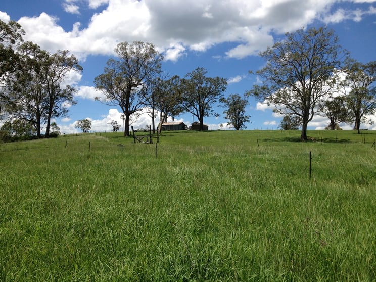 1123 Paterson River Road Gresford NSW 2311 - Image 3