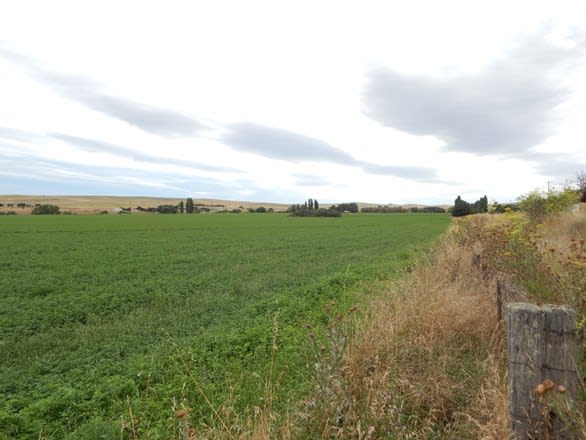 Rose Valley Rd  & Monaro Hwy Bunyan NSW 2630 - Image 3