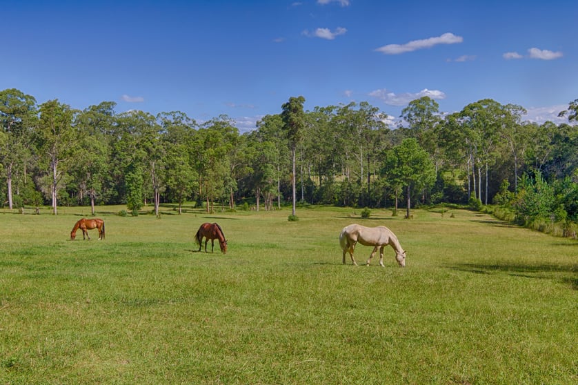 22 Rose Gum Road Cooroy QLD 4563 - Image 1