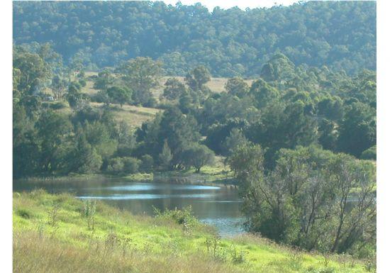 Wingham NSW 2429 - Image 1