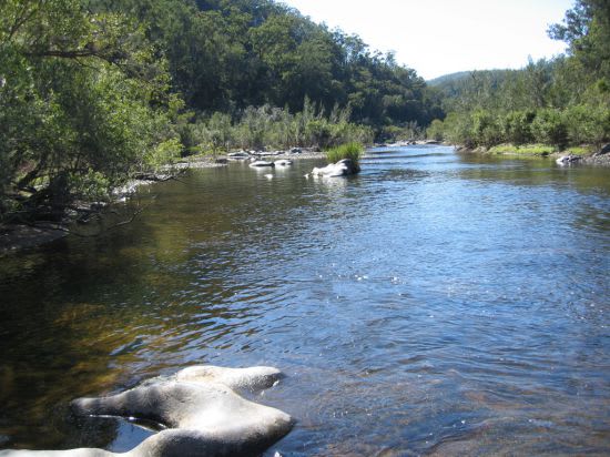 Click to view all images Leslie Creek Rd Drake NSW 2469 - Image 1