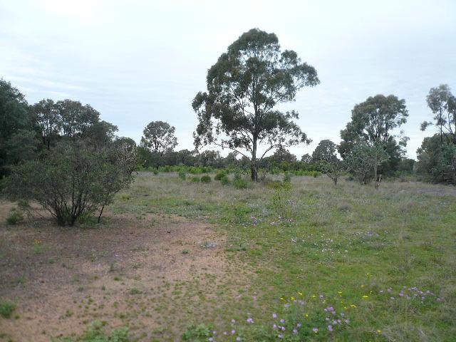 47 KYTES ROAD Tara QLD 4421 - Image 3