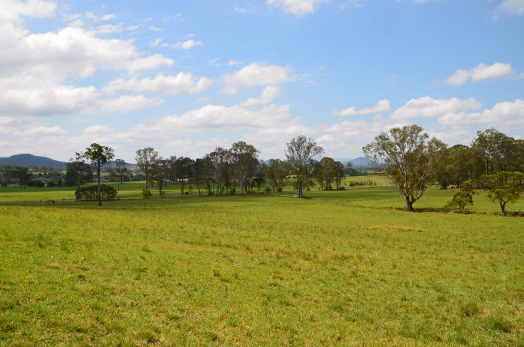 Burrell Creek NSW 2429 - Image 3