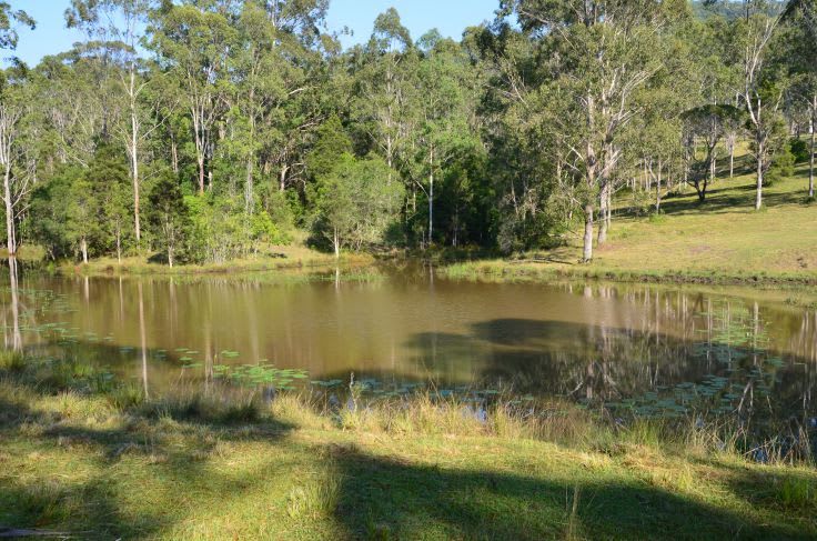 Wherrol Flat NSW 2429 - Image 3