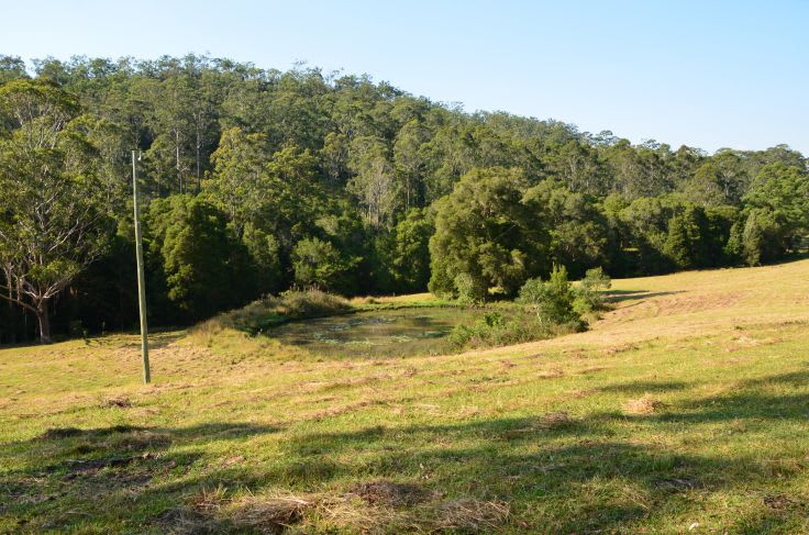 Wherrol Flat NSW 2429 - Image 2