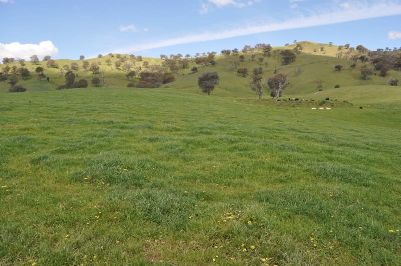 1441 Murray Valley Highway Huon VIC 3695 - Image 2