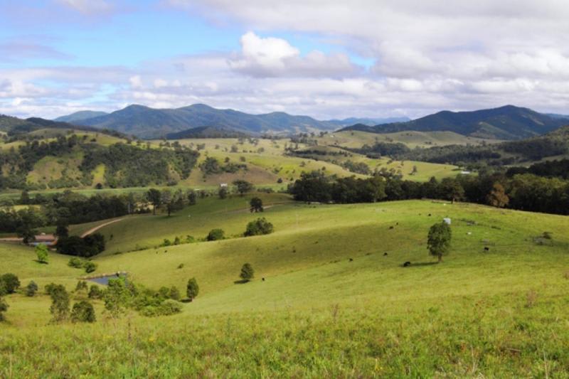 Click to view all images Mount George NSW 2424 - Image 1