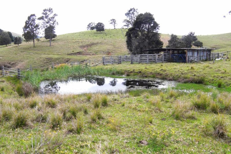 Click to view all images Bunyah NSW 2429 - Image 1