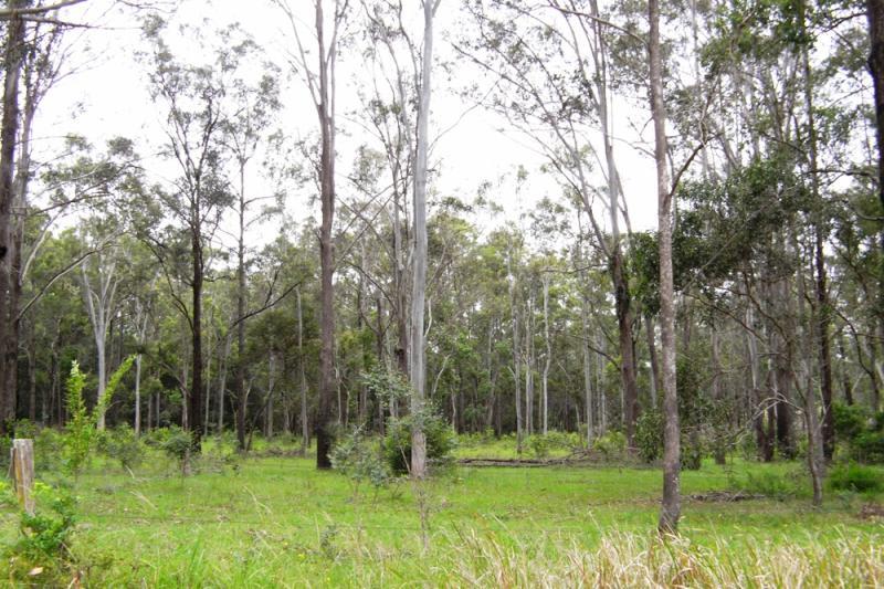 Wingham NSW 2429 - Image 3