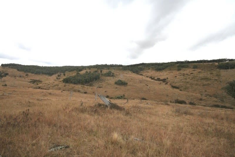 Click to view all images Mudgee NSW 2850 - Image 3