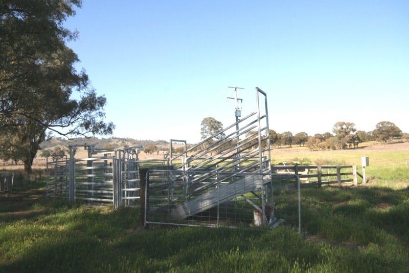Click to view all images Mudgee NSW 2850 - Image 3