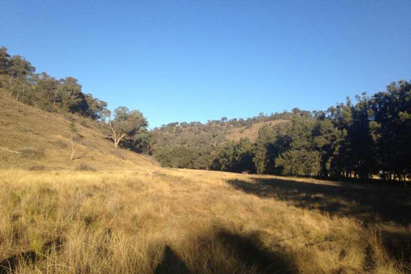 Click to view all images Mudgee NSW 2850 - Image 3
