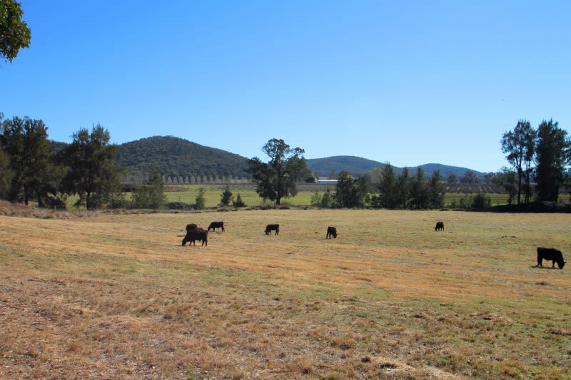 Mudgee NSW 2850 - Image 2