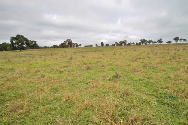 8/1011 Pyangle Road Mudgee NSW 2850 - Image 3