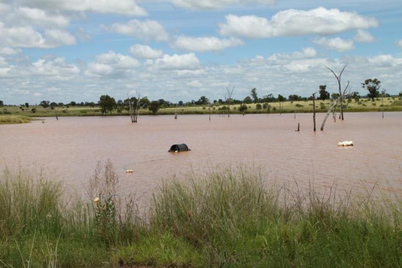 Click to view all images - Wyoming Roma QLD 4455 - Image 3