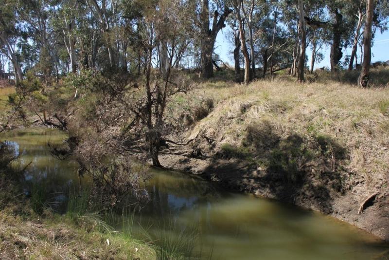 Click to view all images Warrego Highway Roma QLD 4455 - Image 3