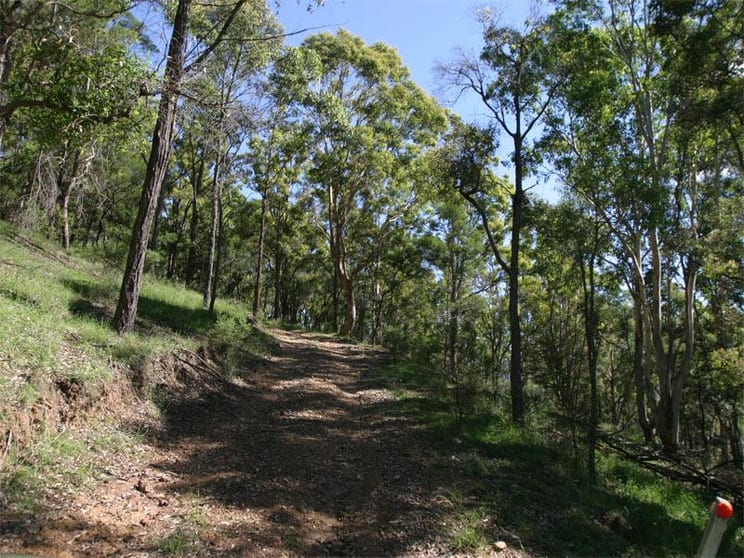 Cobargo NSW 2550 - Image 3