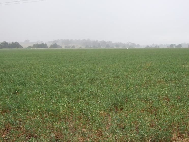 Allora QLD 4362 - Image 1
