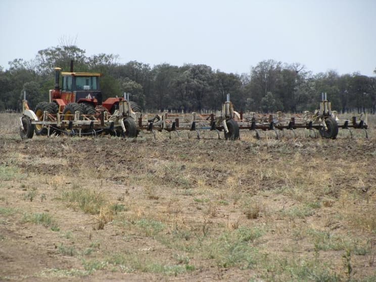 6172 ACRES CROPPING, CATTLE, SHEEP Meandarra QLD 4422 - Image 1